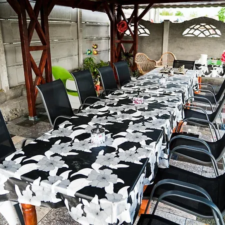 Pensiunea Georgibel Guest house Deva