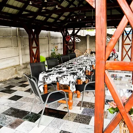 Pensiunea Georgibel Guest house Deva